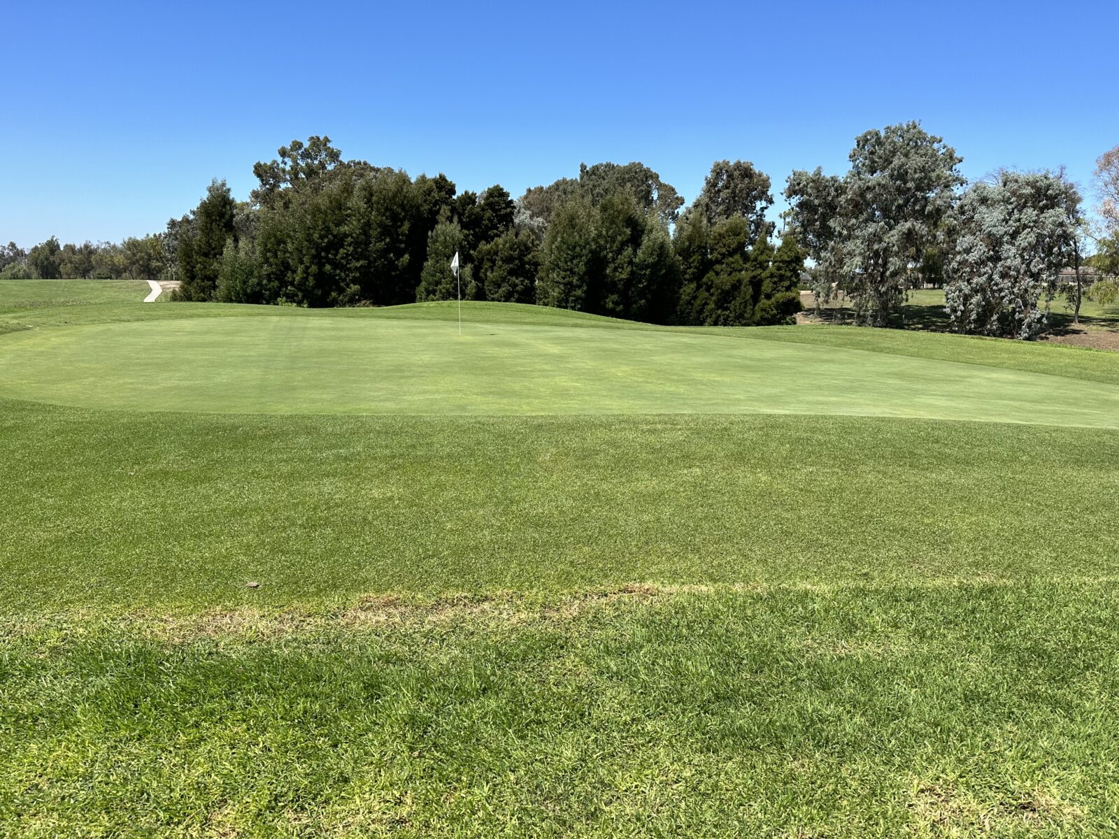 Major course improvements – Welcome to Mission Trails Men's Club
